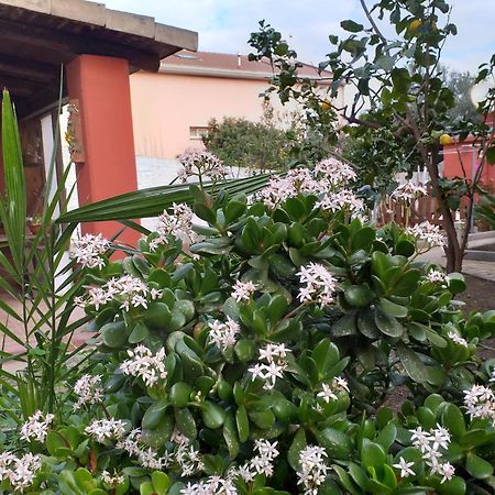 Ferienwohnung I Due Ciuchini Sassari Exterior foto